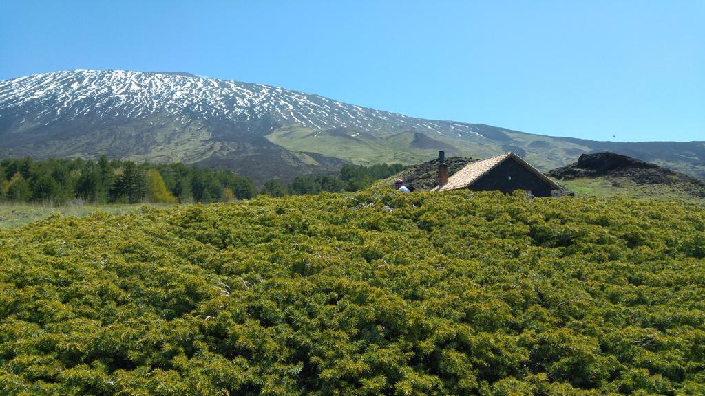 Etna Bike Holiday ザッフェラーナ・エトネーア エクステリア 写真