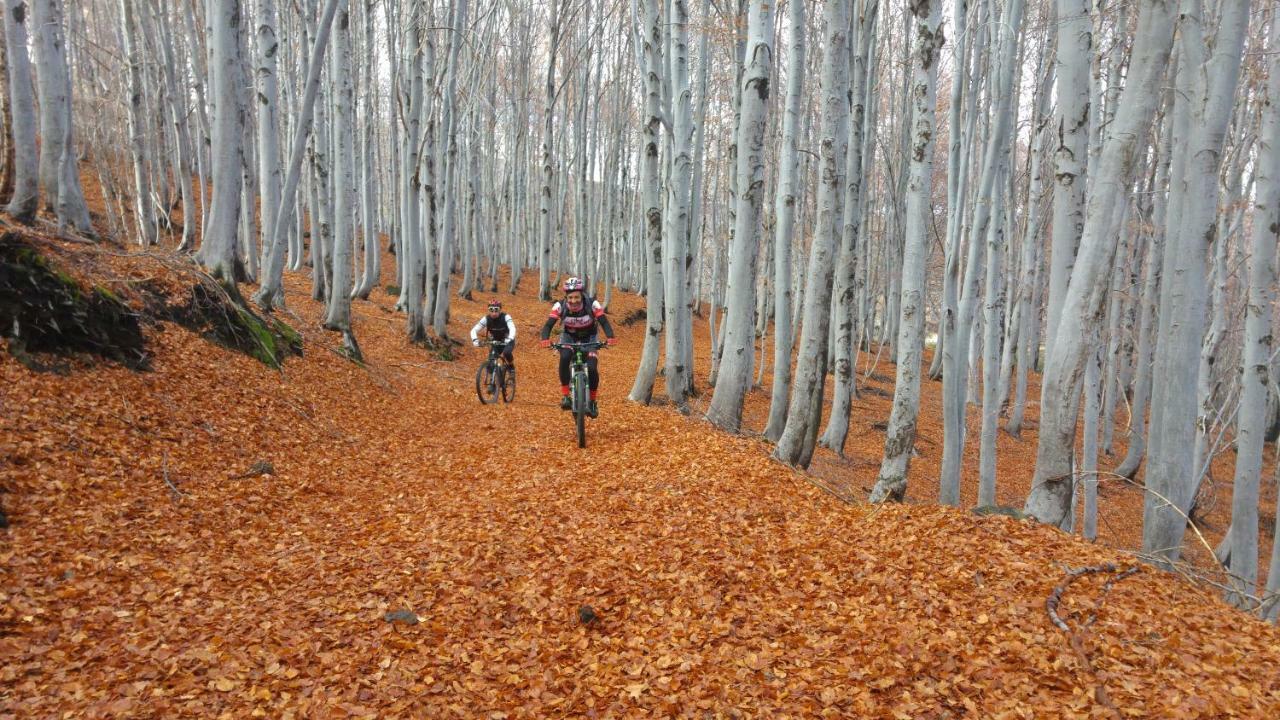 Etna Bike Holiday ザッフェラーナ・エトネーア エクステリア 写真