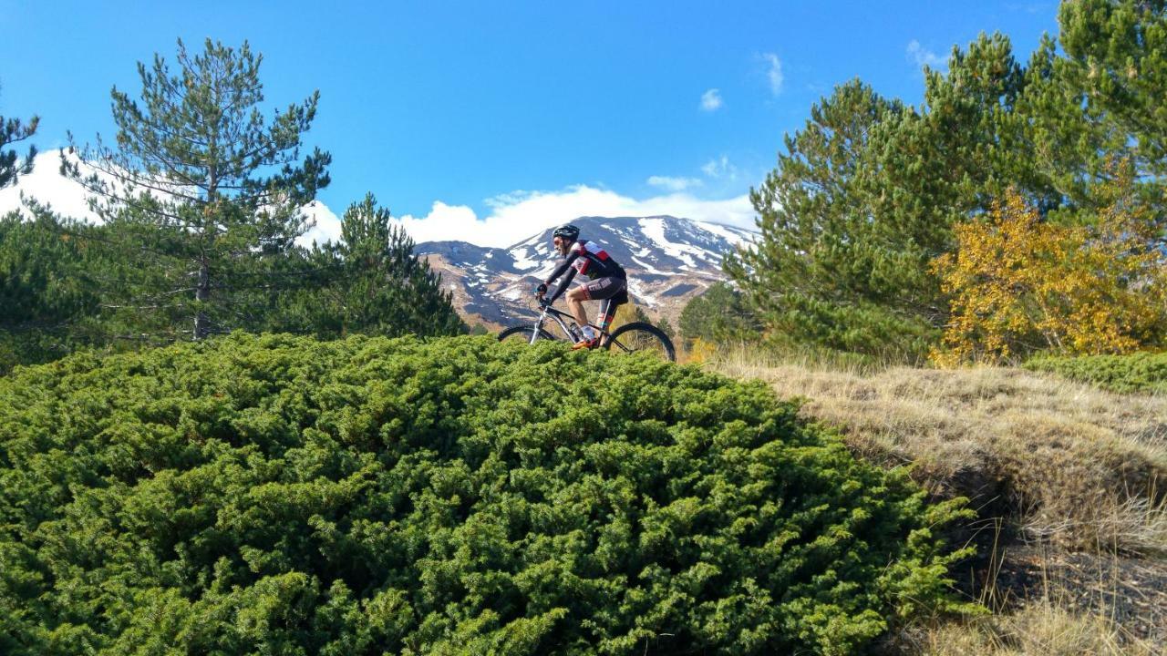 Etna Bike Holiday ザッフェラーナ・エトネーア エクステリア 写真